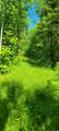 1634 County Road 117 - Photo 35