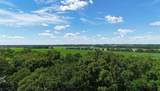 30099 Conita Circle - Photo 41