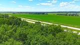 30099 Conita Circle - Photo 43