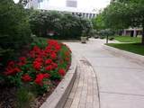 19 1st Street - Photo 15