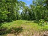 36003 Schaller Lane - Photo 11