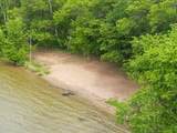 36003 Schaller Lane - Photo 8