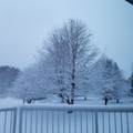 14890 Country Road - Photo 32