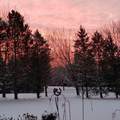 14890 Country Road - Photo 35