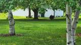 14890 Country Road - Photo 36
