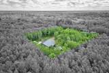 40293 Fox Glen Drive - Photo 41