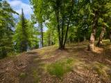 50573 Evergreenpoint Road - Photo 42