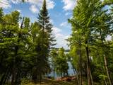 50573 Evergreenpoint Road - Photo 44