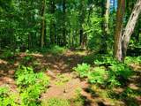 67415 Foley Road - Photo 17