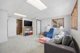 35743 Fawn Oaks Trail - Photo 36