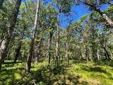 12997 Mail Road - Photo 55