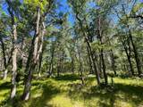 12997 Mail Road - Photo 57