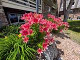 4387 Wilshire Boulevard - Photo 45