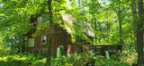 8565 Bear Island Landing - Photo 3