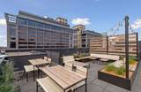 250 Park Avenue - Photo 15