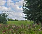 18123 Deer Road - Photo 102