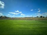 12421 Holden Way - Photo 14