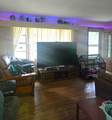 6663 Lucia Lane - Photo 2