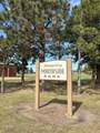 822 Deer Path - Photo 49