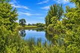 822 Deer Path - Photo 8