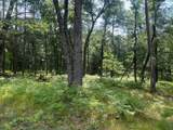 Lot 207 Deerpath Terrace - Photo 2
