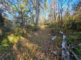 Tract 8 Brush Island - Photo 2