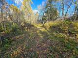 Tract 8 Brush Island - Photo 3
