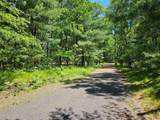 N13475 Narrows Trail - Photo 39