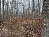 58484 Rutabaga Road - Photo 15