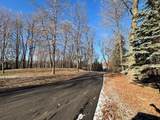 11233 Chisago Boulevard - Photo 42