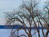 1701 1st Street - Photo 32