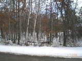 Lot 12 Fallen Leaf Circle - Photo 5