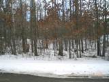 Lot 12 Fallen Leaf Circle - Photo 6