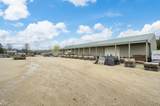 3415 College View Road - Photo 13