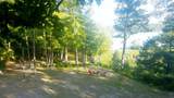30091 Sunny Beach Road - Photo 4