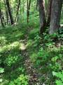 8586 Graves Lake Road - Photo 12