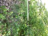 TBD Hidden Oaks Drive - Photo 10