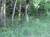 TBD Hidden Oaks Drive - Photo 11