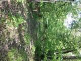 TBD Hidden Oaks Drive - Photo 13