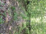 TBD Hidden Oaks Drive - Photo 4