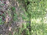 TBD Hidden Oaks Drive - Photo 6