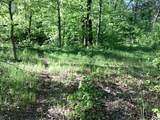 TBD Hidden Oaks Drive - Photo 7