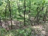 TBD Hidden Oaks Drive - Photo 9
