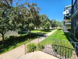 2720 Dale Street - Photo 40