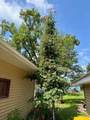 146 Washington Avenue - Photo 44