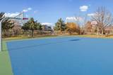 14421 Freesia Way - Photo 53