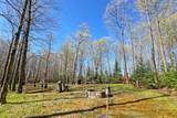 26810 Hart Lake Road - Photo 53