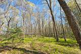 26810 Hart Lake Road - Photo 54