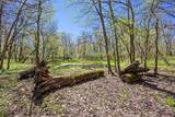 20658 Belle Lake Road - Photo 130