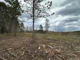 TBD #3 Koecher Road - Photo 10